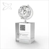 Crystocraft Personalised Chrome Plated Crystal Trophy with Globe Award Decorated with Crystal from Swarovski with Acrylic Base