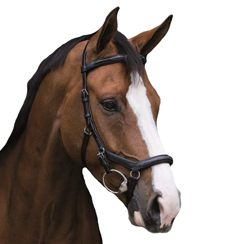 
Rambo Micklem Deluxe Competition Horse Bridle Micklem Horse Bridles for sale all world  (62003922046)