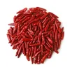 RED CHILLI STEMLESS TEJA S17 FROM NIK-MAY EXPORTS LLP ORIGIN NDIA