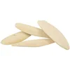 DRIED CLEAN WASHED CUTTLEFISH BONE/ CUTTLEBONE/ Ivy Nguyen +84 977157110