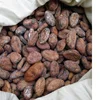 Good Quality Cocoa Beans