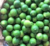 Lemon/Fresh Lemon/Lime/Fresh Lime!