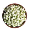 JASMINE FLOWER WHOLE - DRIED JASMINE FOR TEA