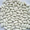 Chinese Hot Selling Small White Kidney Beans
