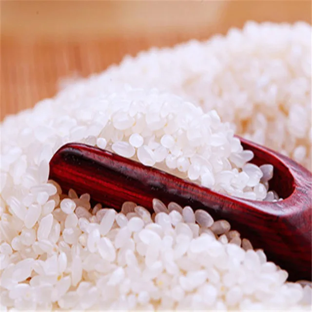 
Koshihikari Japonica Round Rice 5kg 