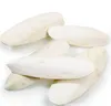 Cuttlefish/Seafood/Fresh Squid