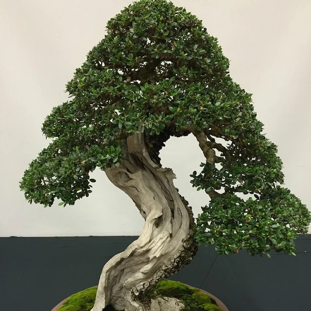wholesale Home ornamental small artificial topiary plants bonsai