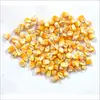 Common Natural Dried Corn Seeds For Animal Feed/Dried Corn Seeds/Ms Nancy +84 377 518 917