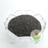 Wholesale Basil Seeds