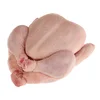 Grade 1 Halal Frozen Whole Chicken / Gizzards / Thighs / Feet / Paws / Drumsticks for sale