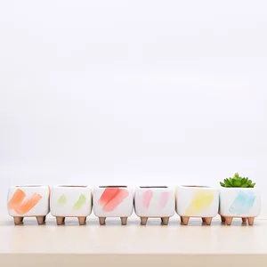 Image of APHACATOP New design Colorful Succulent Planter Small Size
