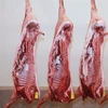 frozen pork soft bones ( rosaarios )