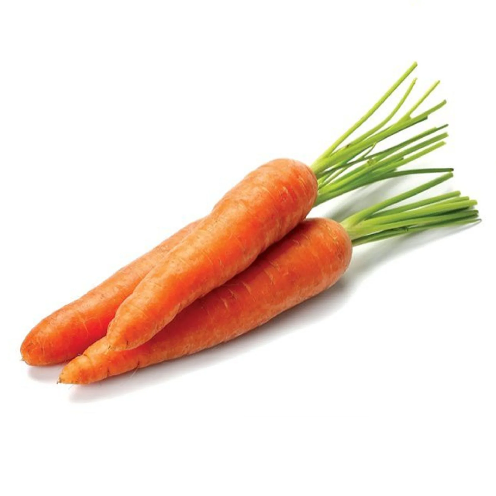 Картинка овощей по отдельности. Морковь Джерада f1. Морковь Морелия f1. Овощи по отдельности. Овощи морковь.