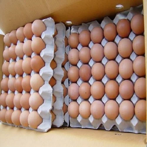 
Fresh Farm Chicken Table Eggs/Fresh Chicken wholesale For Export ..!! 