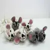Cat Toys-Felt Mouse for Cat-Dog toy-Wool Mouse-Mouse for your pets-Handmade from pure wool no chemicals from Nepal.