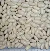White Kidney Beans 180-200