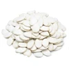 cheap hulled snow white pumpkin seed kernels wholesale