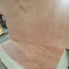 Vietnam Commercial Plywood with 8.5 mm// 11.5 mm or others, Face and Back Okume/ Bintagor/ Pine/ Gule E2 MR