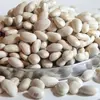 Large lima beans