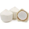 Diamond Shape Fresh Young Coconut - Vietnam Origin