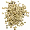 BLACK PEPPER, SPICES, WHITE PEPPER EXPORTER, FACTORY VIETNAM