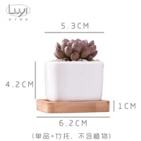 

APHACATOP Square White Ceramic Succulent Planter Pot with Bamboo Tray PLANT POTS