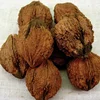 Thin-skin walnut china organic walnut with shell