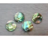 Paua Shell, Abalone Slices, Round Disc