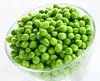 Raw Brown Chickpea Chick Peas Size and Bean Green Garbanzo Beans