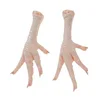 Halal Frozen Processed Chicken Feet / Paws / Breast / Wings From Brazil