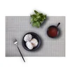 2019 New style high quality recycled plastic placemat for dining table