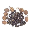 Dried Jatropha Seeds For Biodiesel