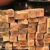 Ukraine Wood Logs/ PINE WOOD LOG FOR MAKING PALLET OR CONSTRUCTION