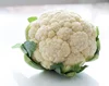 Fresh Broccoli on Sales for the best prices