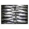 /product-detail/frozen-skipjack-tuna-fish-62004651948.html