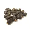 Premium Quality New Crop Jatropha Seeds