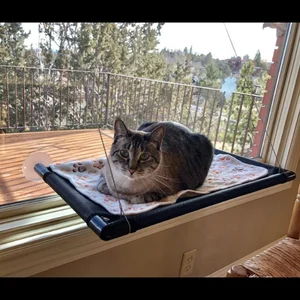 Wholesale Sill Seat Kitty Hammock Window Mounted Cat Bed Cat Hammock Window Cat Window Bed