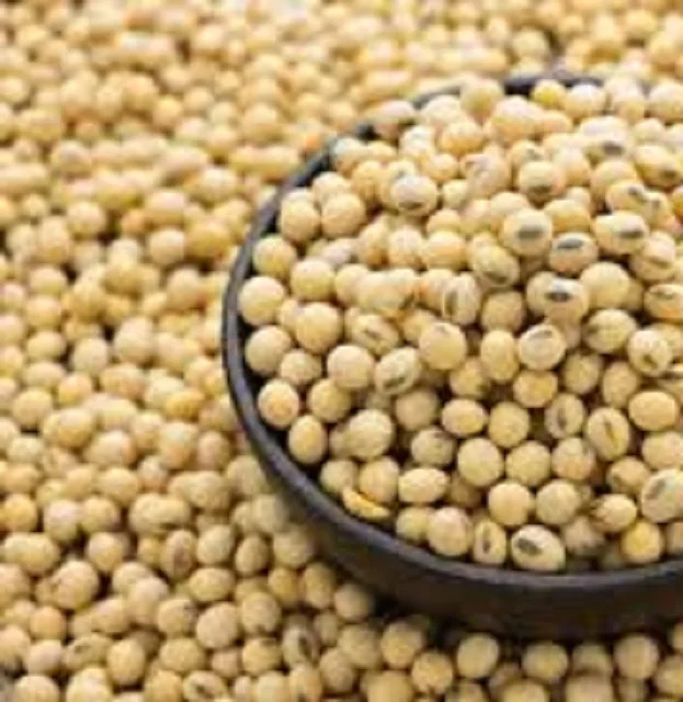 Соя 2025. Нан соя. nan soya купить.