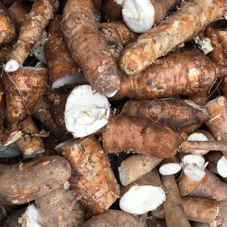 Fresh Cassava Leaf EU Postage 200gr