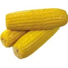 Fresh corn Yellow/White