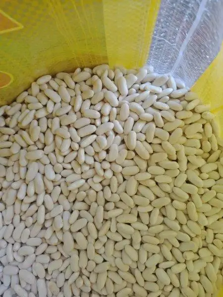 
white kidney beans high quality picks by hands 