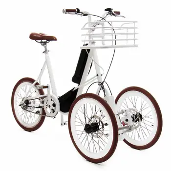 mini electric tricycle