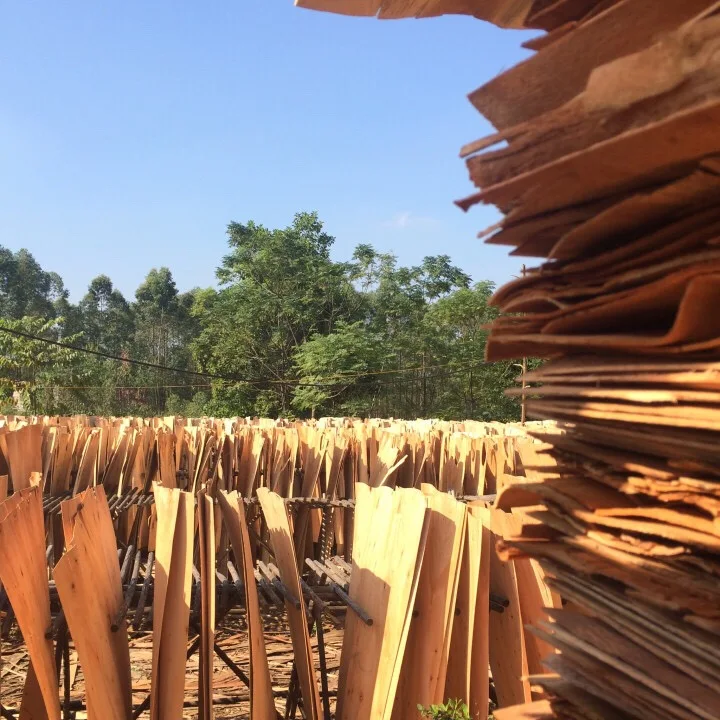 
Natural Figured Dried Excellent Eucalyptus Core Veneer for Furniture 