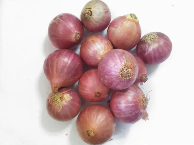 Red Onion Buy Big Onion Types Red Onions Indian Red Onion Product On Alibaba Com,Tommy Pickles Maternal Grandparents