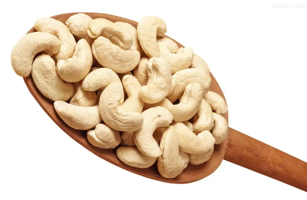 Vietnam Wholesale Cashew Nuts / Cashews Kernel