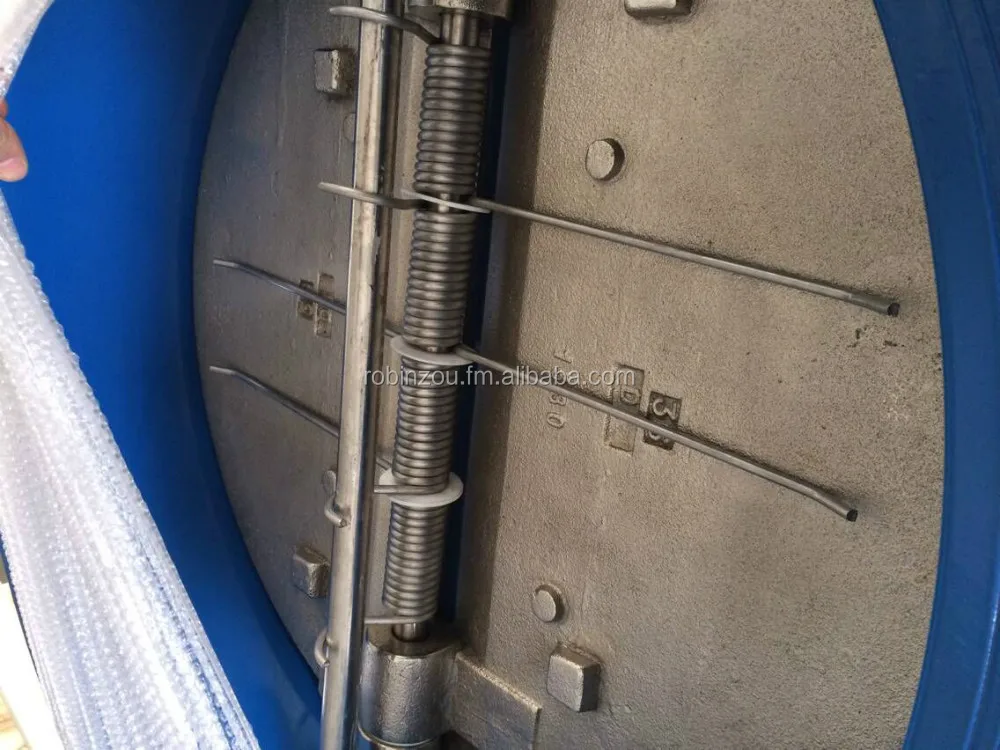 
DIN PN10/PN16 Cast Iron wafer Double Door Check Valve DN40-DN900 