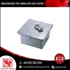 Low Power Usage Virtually Invisible Underground Swing Gate Opener at Competitive Price