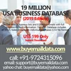 19 Million USA Business Database (2016 Edition)