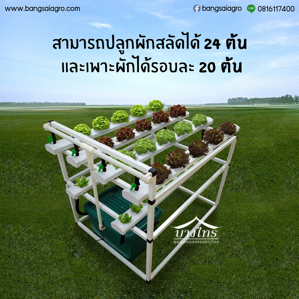 Aquaponics Supplies Thailand Aquaponic