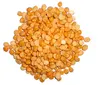 Best quality Chana Dal from South Africa / Whole and Split..